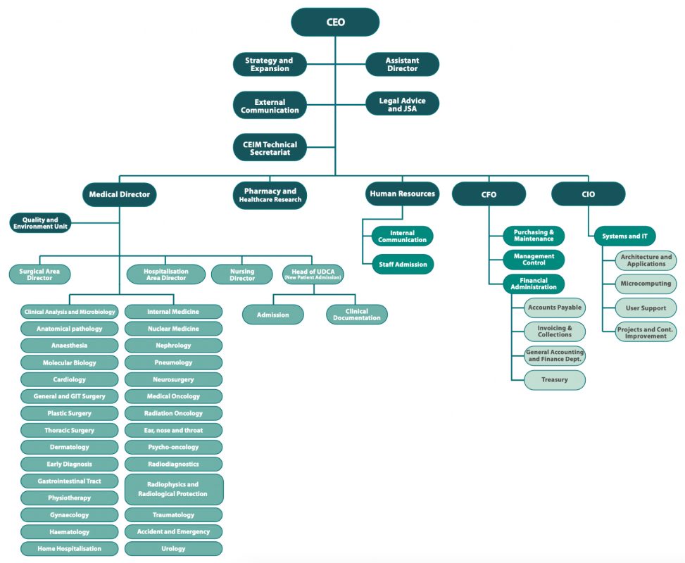 Organizational structure - IVO - Instituto Valenciano de Oncología